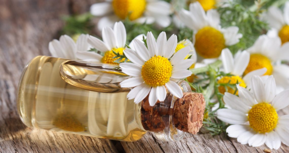 Camomille cheveux comment blondir grâce à la camomille